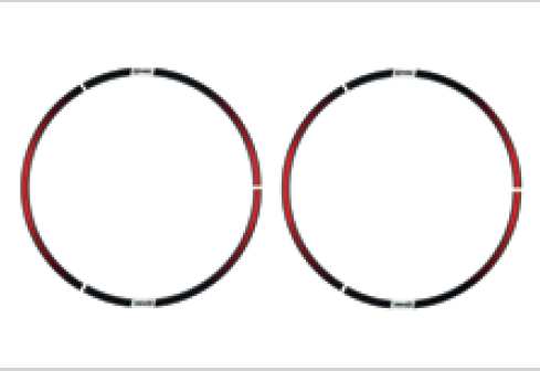  HONDA MONKEY KIT WHEEL STICKER H2C - RED 