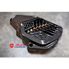 Radiator Guard Carbon Honda ADV150