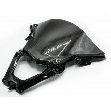 Carbontech Under Windshield For New PCX160