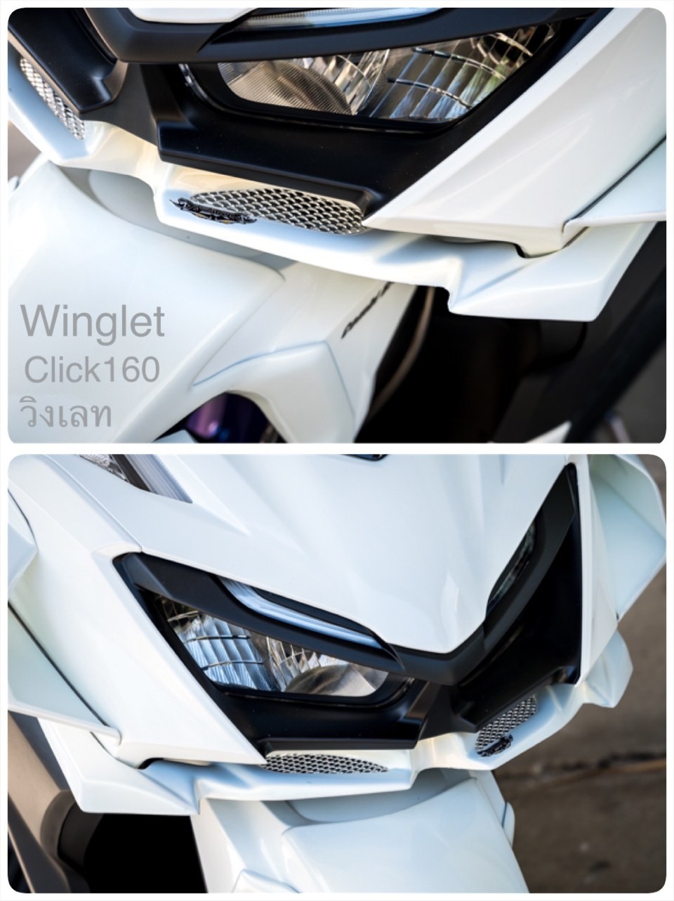 Winglet AsurA For Honda Click160 