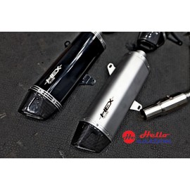 Exhaust PR2 ( HEX ) All New Forza 300 350 ( Silver )