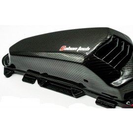 Carbon Airfilter Cover For Honda Forza 350