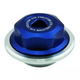 GTR Rear Wheel bolt cap for AEROX-BLUE