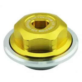 GTR Rear Wheel bolt cap for AEROX-GOLD