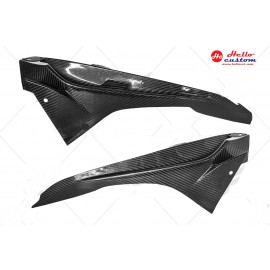 FRAME COVER LIMBERGER FORBMW S1000RR